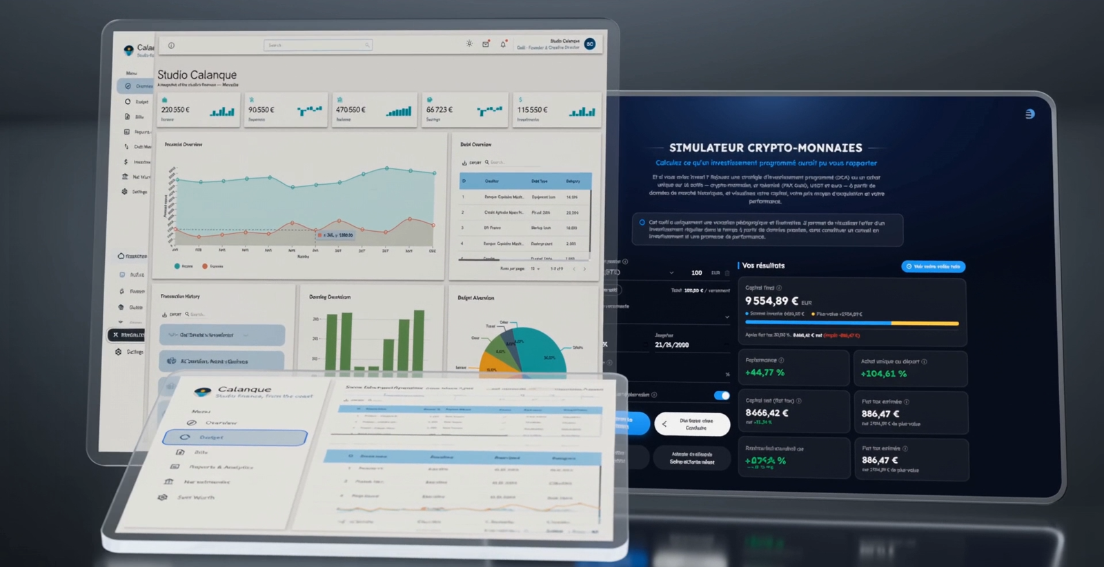 Studio Calanque finance dashboards — budgeting overview and crypto simulator